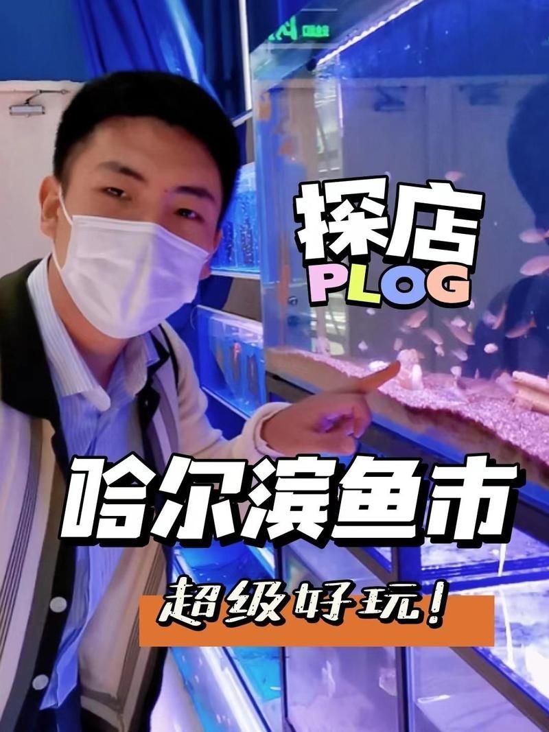 哈爾濱水族批發市場，探秘哈爾濱最大水族批發市場，解鎖多樣海洋生物貨源