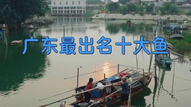 廣東最出名10種淡水魚，盤點廣東最出名的10種淡水魚，你吃過