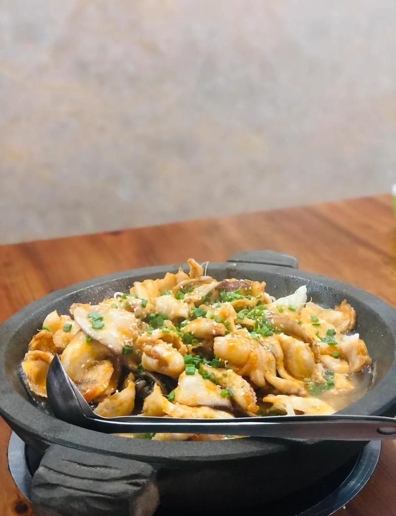 和興龍魚，和興龍魚，精品觀賞魚繁育與養護指南