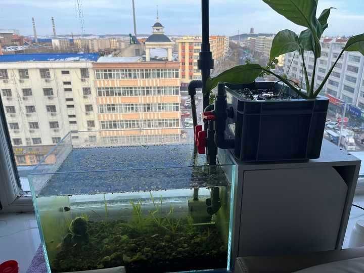 內(nèi)江魚(yú)缸定做，內(nèi)