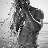 很火的小鯊魚頭像，??爆款來襲！超萌小鯊魚頭像合集，速來收藏！