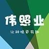 家用燈能不能給植物補光，家用燈光能否替代專業設備為植物
