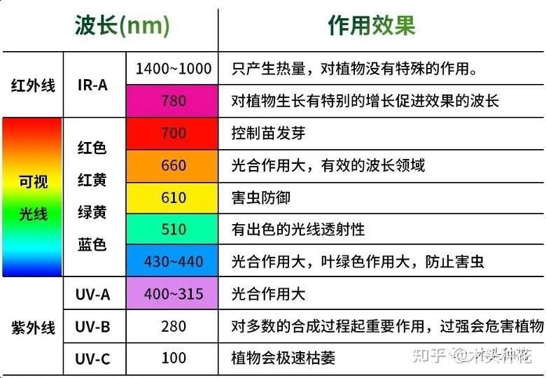 家用燈能不能給植物補光，家用燈光能否替代專業設備為植物