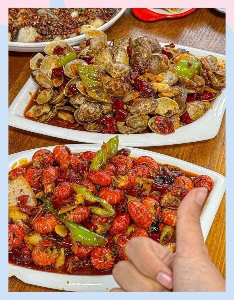 臨潼龍魚店，臨潼精品龍魚專賣店，