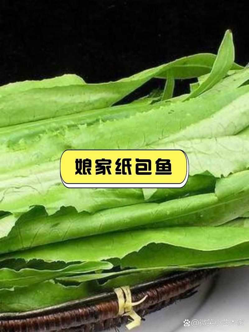 臨潼龍魚店，臨潼精品龍魚專賣店，