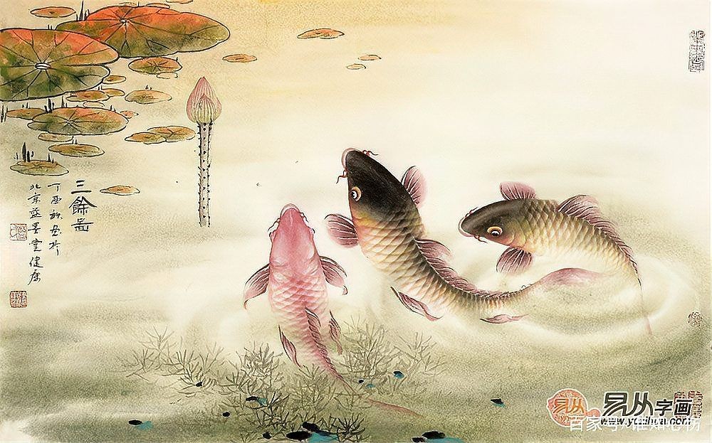 九魚圖三條黑魚好不好,解析九魚圖中三條黑魚的寓意與
