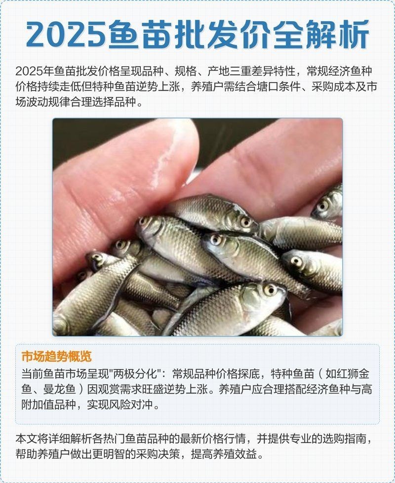 各種魚苗批發 淡水魚，多種淡水魚苗批發供應 低價直供養殖場