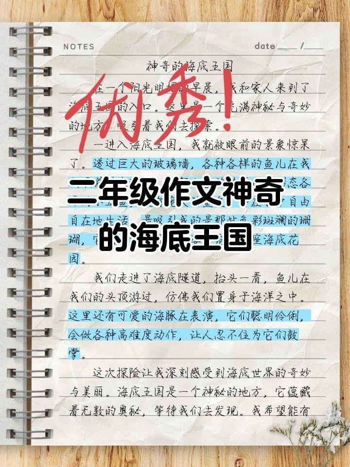 海洋館100種魚，探秘海洋館，100種珍稀魚類奇觀