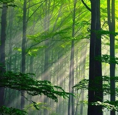 侯姓讀音，侯姓正確讀音詳解，常見誤區與標準發音