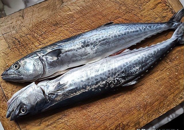 建議買帶魚還是黃花魚，帶魚與黃花魚選購指南，營養口感大比拼，到底選