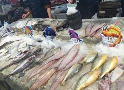 建議買帶魚還是黃花魚，帶魚與黃花魚選購指南，營養口感大比拼，到底選