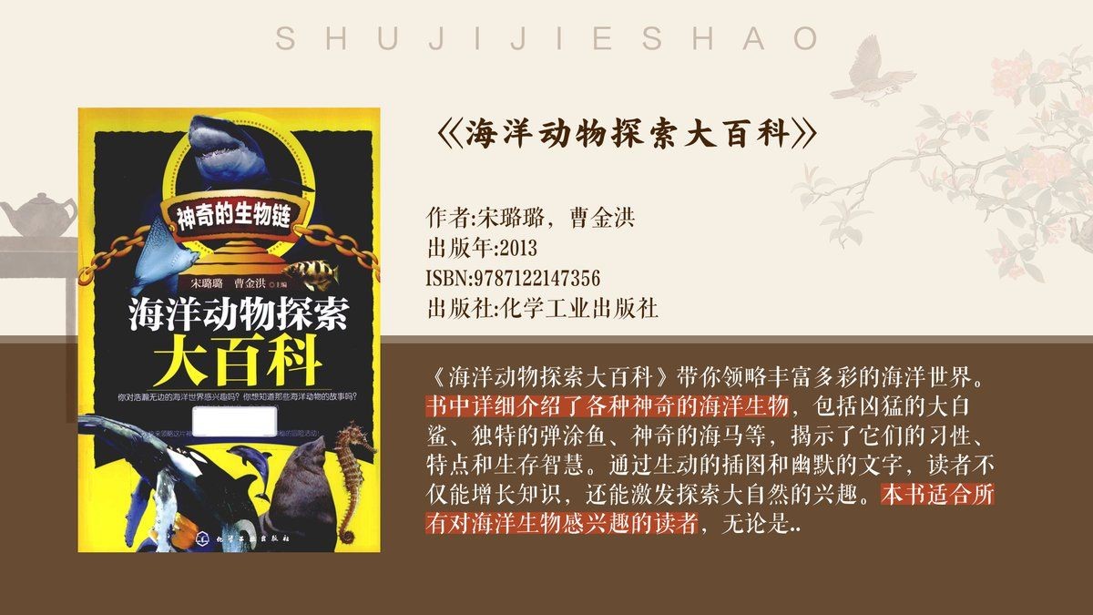 關于大白鯊的資料，探秘海洋霸主，大白鯊生物學特性與生態價值