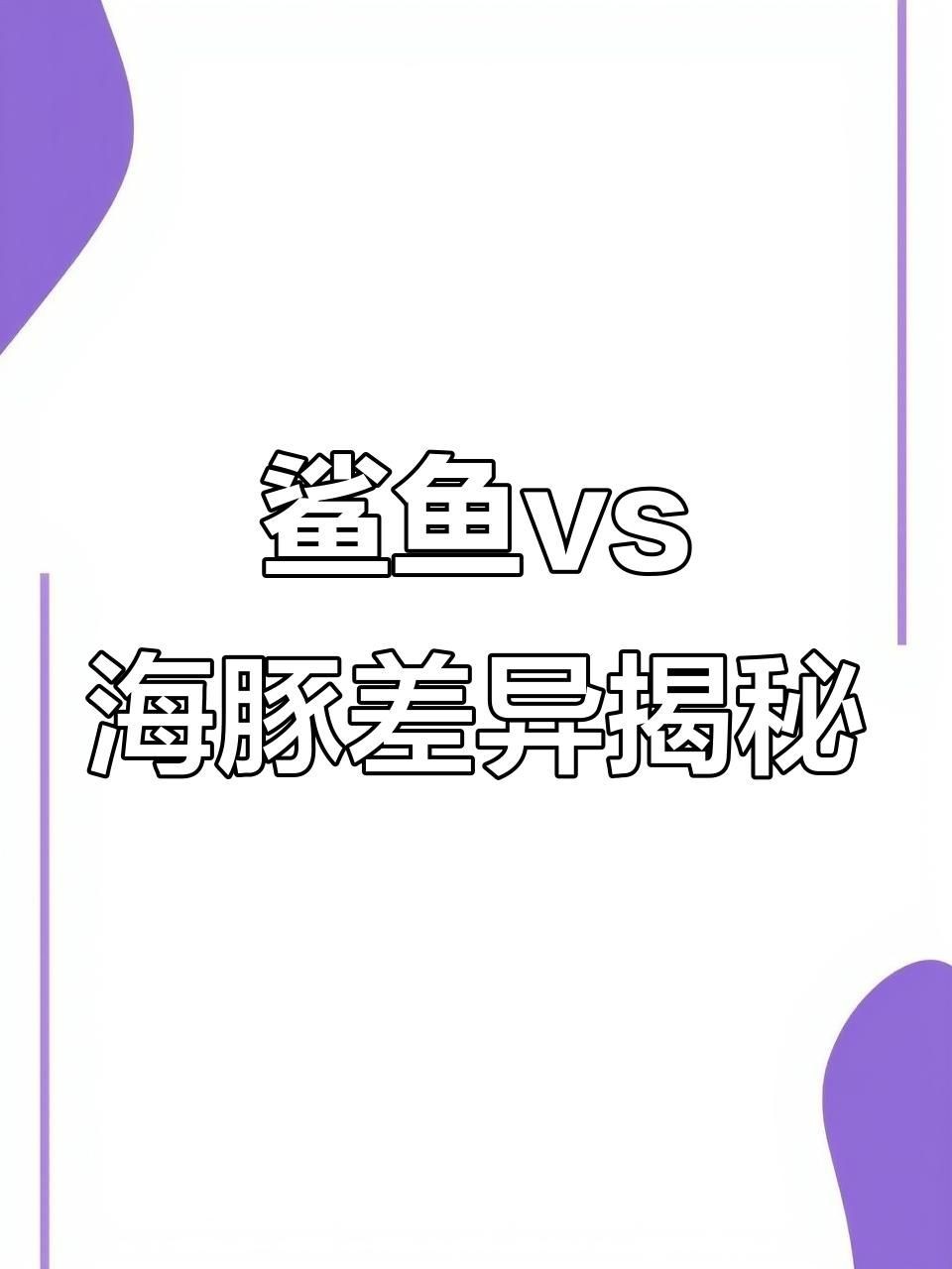 海豚和鯊魚外觀什么區別，海豚與鯊魚外觀特征全對比，從體型到鰭部細數