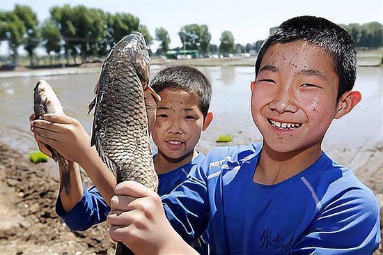 河邊抓小魚最快的方法，超實用！河邊快速捕撈小魚的高效技巧全解析