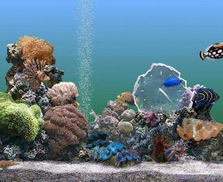 中山水族批發市場，中山大型水族用品批發集散中心——一站式采購優選地