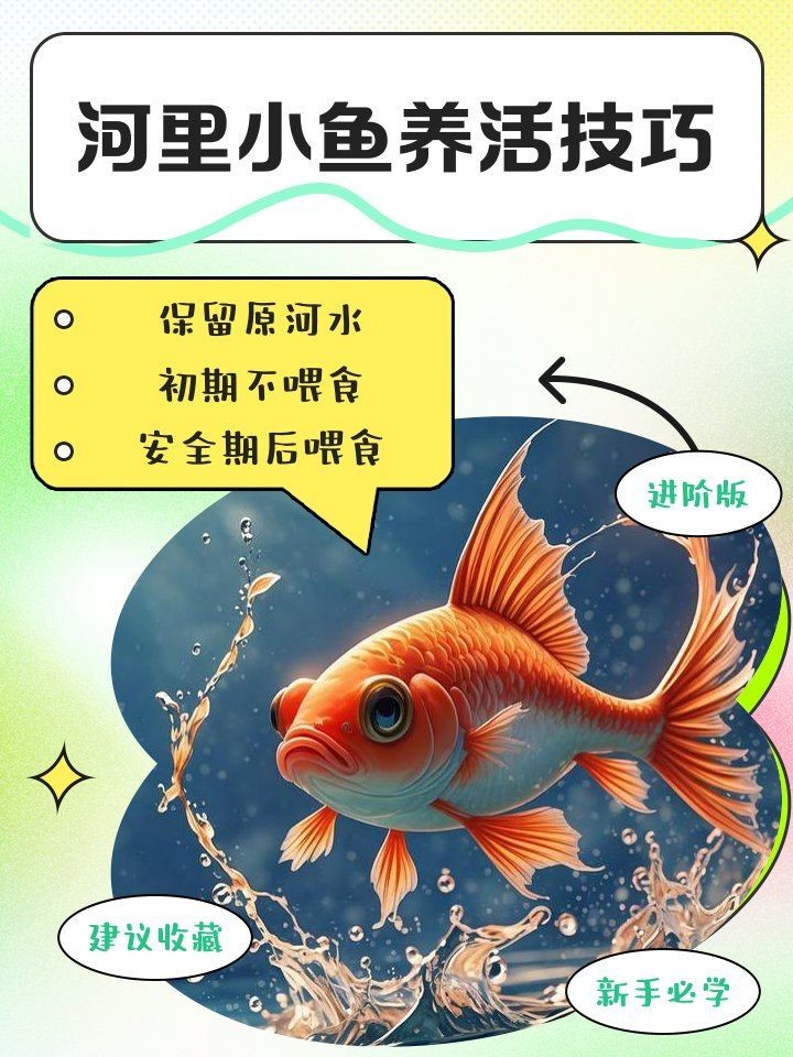 河里的小魚苗能養(yǎng)活嗎，河里撈的小魚苗能否成功養(yǎng)活？實用