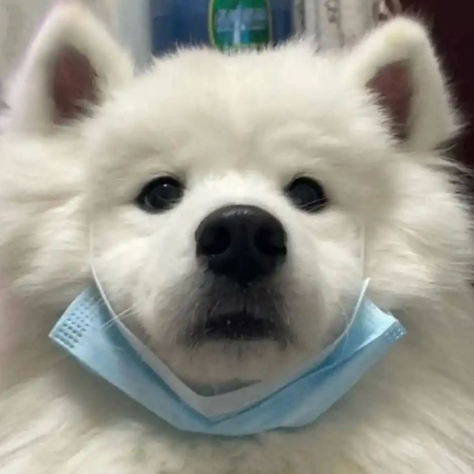 河里的小魚苗能養(yǎng)活嗎，河里撈的小魚苗能否成功養(yǎng)活？實用