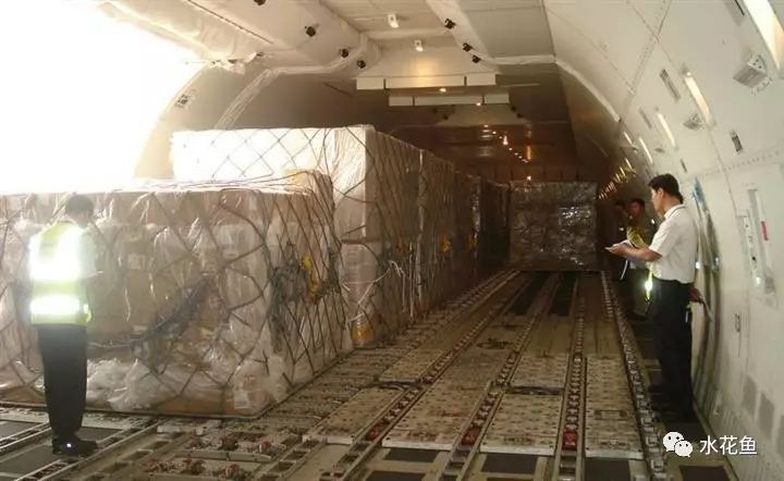 河里的小魚苗能養(yǎng)活嗎，河里撈的小魚苗能否成功養(yǎng)活？實用