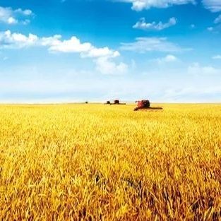 河里的小魚苗能養(yǎng)活嗎，河里撈的小魚苗能否成功養(yǎng)活？實用