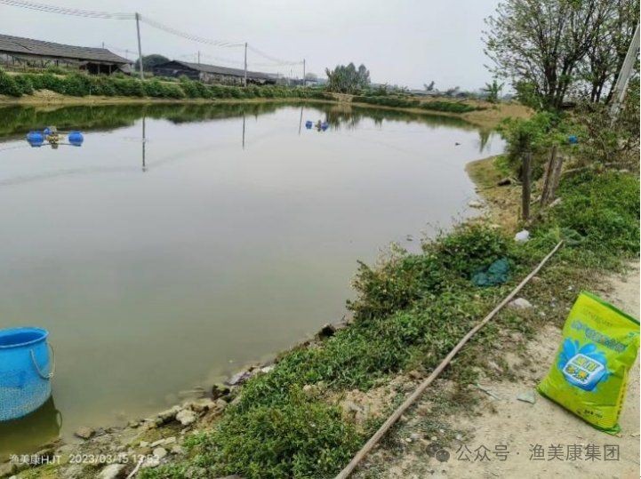 河里的小魚苗能養(yǎng)活嗎，河里撈的小魚苗能否成功養(yǎng)活？實用