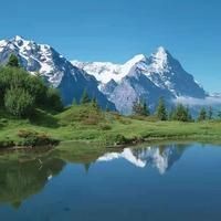 河里的小魚苗能養(yǎng)活嗎，河里撈的小魚苗能否成功養(yǎng)活？實用