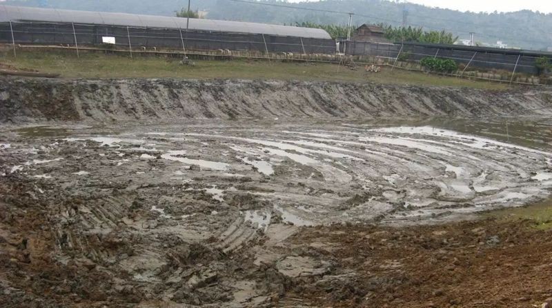 河里的小魚苗能養(yǎng)活嗎，河里撈的小魚苗能否成功養(yǎng)活？實用