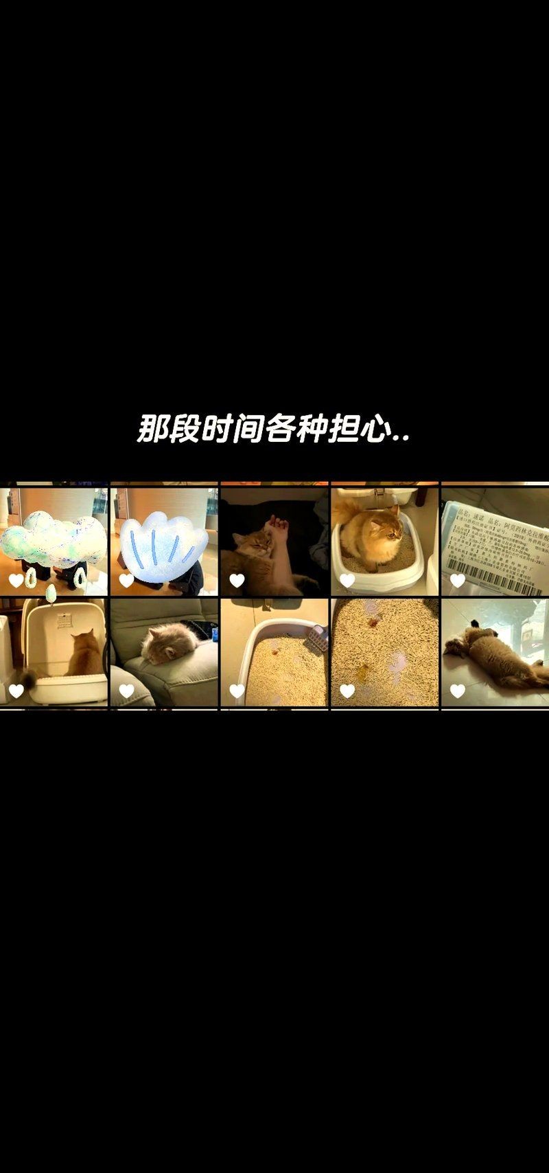 好魚糧的毒性有多強(qiáng)，警惕！看似優(yōu)質(zhì)的好魚糧竟暗藏致命毒性風(fēng)險(xiǎn)
