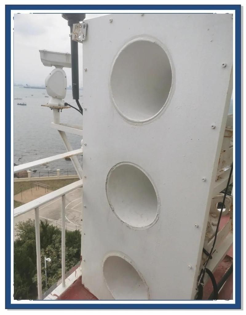 海牛,探秘海洋精靈,解碼海牛 龍魚論壇 第6張 海牛,探秘海洋精靈,解碼海牛 海牛,探秘海洋精靈,解碼海牛 龍魚論壇 第6張
