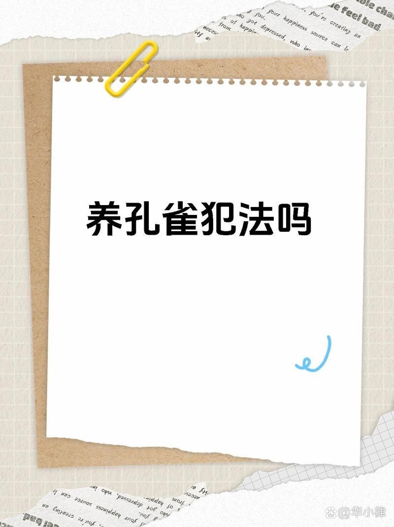 國家允許私人養孔雀嗎，中國私人飼養孔雀的政策規定及合法性全解析