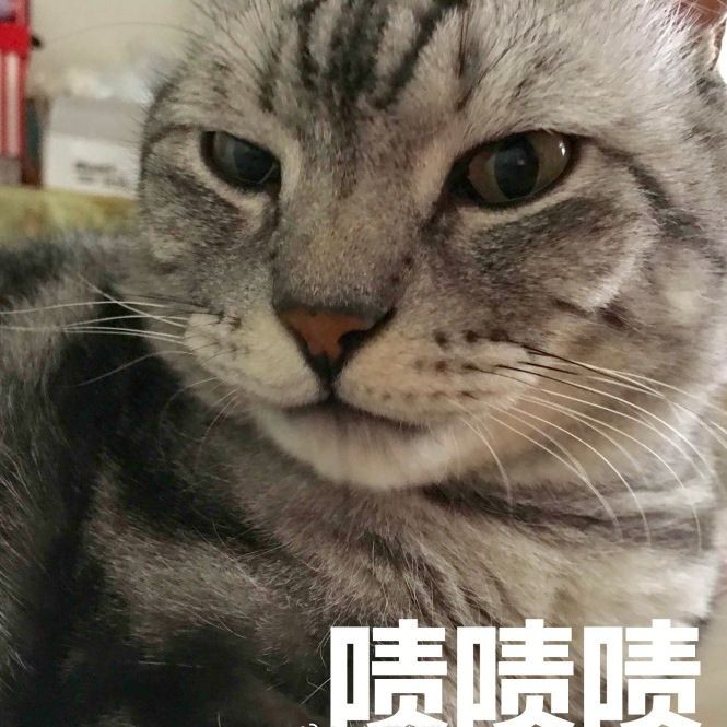 和尚的一日三餐伙食表,揭秘寺廟僧人日常,清規戒律下的和尚一日三餐食譜全