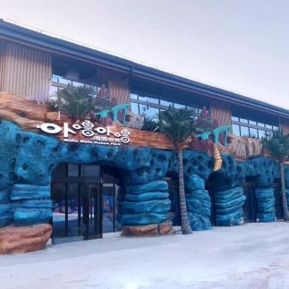 上饒水族店，探秘上饒人氣水族店，打造家居生態水