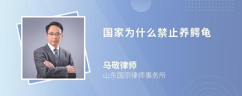 國家為什么禁止養鱷龜，國家明令禁止飼養鱷龜，生態風險與法律紅線背后的