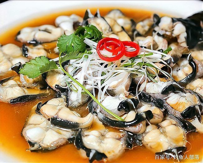 河鰻可以當觀賞魚養(yǎng)嗎，河鰻作為觀賞魚飼養(yǎng)的可行性