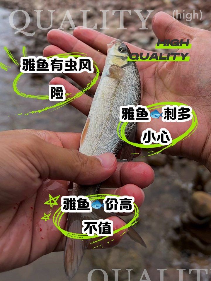 和尚魚為何要少吃，揭秘和尚魚需少吃的健康隱患