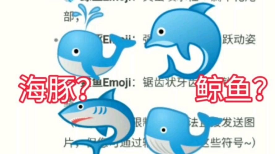 海豚與鯨魚外形區(qū)別圖片，高清對比圖鑒海豚與鯨魚，從流線型體型到背