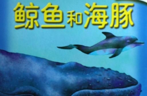 海豚與鯨魚外形區(qū)別圖片，高清對比圖鑒海豚與鯨魚，從流線型體型到背