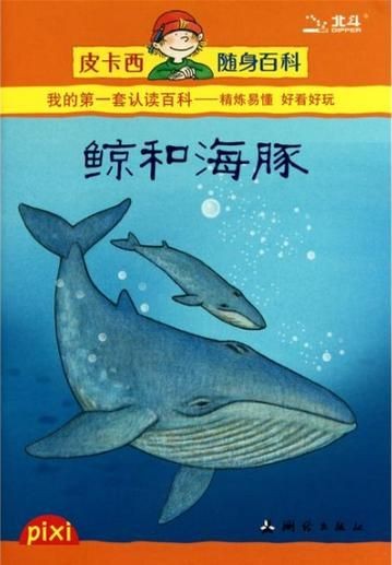 海豚與鯨魚外形區(qū)別圖片，高清對比圖鑒海豚與鯨魚，從流線型體型到背