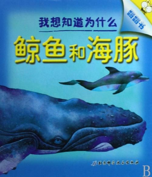 海豚與鯨魚外形區(qū)別圖片，高清對比圖鑒海豚與鯨魚，從流線型體型到背