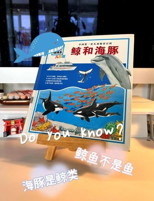 海豚與鯨魚外形區(qū)別圖片，高清對比圖鑒海豚與鯨魚，從流線型體型到背