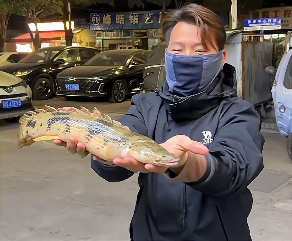 怪魚是什么魚，揭秘，被稱為怪魚的神秘生物究竟屬于什么魚類