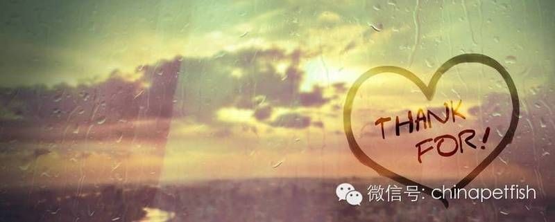 和興龍魚貿易app最新版本更新內容詳解，和興龍魚貿易APP新版升級揭秘，核心功能迭代與用戶體驗革新