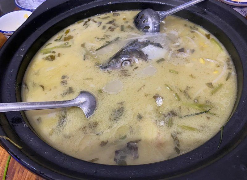 婁底龍魚店，婁底人氣爆棚的龍魚專賣店，品質佳選一站購齊