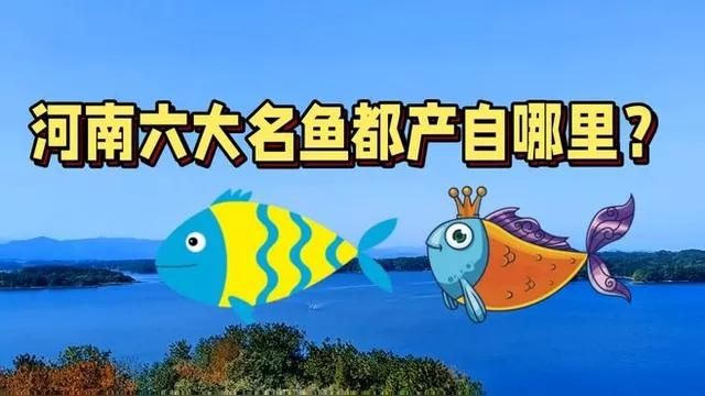 河南十大名魚，盤點河南十大名魚，解鎖中原水域美味密碼！