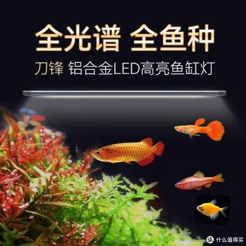 吉印水族箱燈圖片，吉印水族箱燈高清實(shí)拍