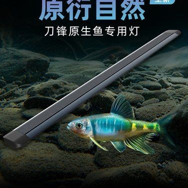 吉印水族箱燈圖片，吉印水族箱燈高清實(shí)拍