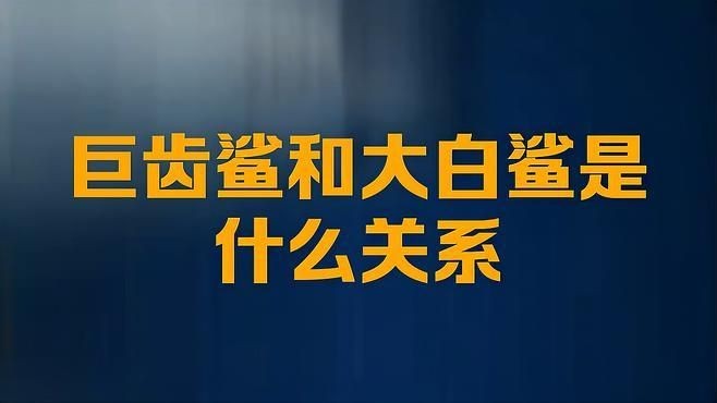 巨齒鯊和大白鯊的區別,巨齒鯊VS大白鯊,體型、習性與生存 龍魚百科 第1張 巨齒鯊和大白鯊的區別,巨齒鯊VS大白鯊,體型、習性與生存 巨齒鯊和大白鯊的區別,巨齒鯊VS大白鯊,體型、習性與生存 龍魚百科 第1張