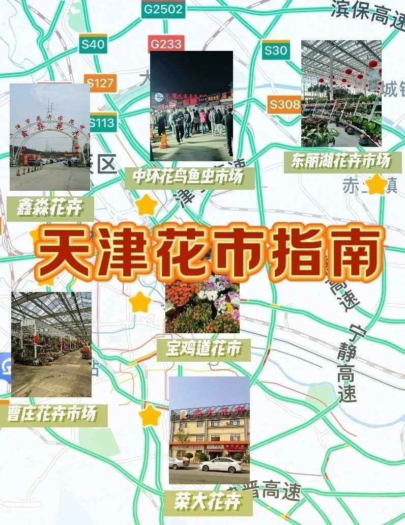 天津魚缸批發市場，天津大型專業魚缸批發市場一站式采購