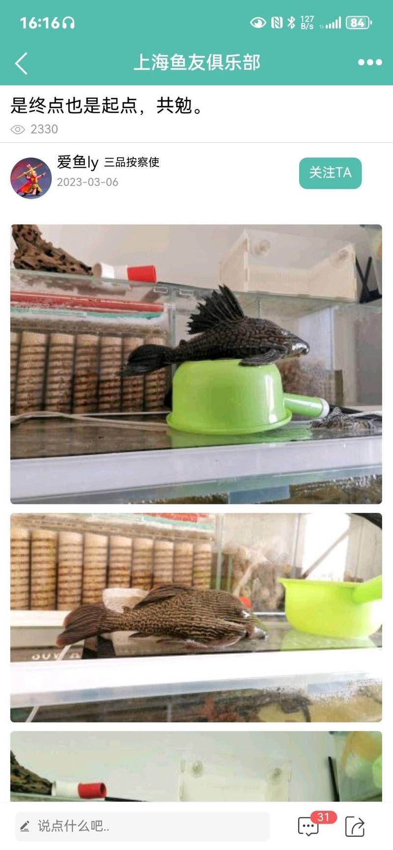 虎魚交叉感染怎么治療，實用指南，虎魚交叉感染的有效治療方案解析