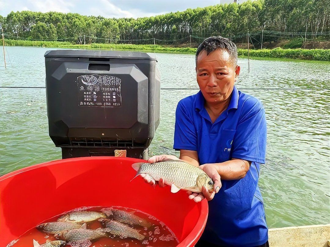 廣東圓頭鯽魚，廣東特色水產(chǎn)——圓頭