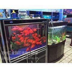 南通魚缸批發市場，南通專業魚缸